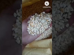 machine d'extraction d'huile de germe de maïs