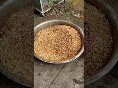 6YL-290 presse à huile à vis pressant l'huile d'arachide