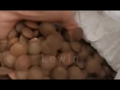 huile de graines de sacha inchi