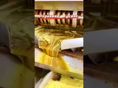 presseur à huile de colza