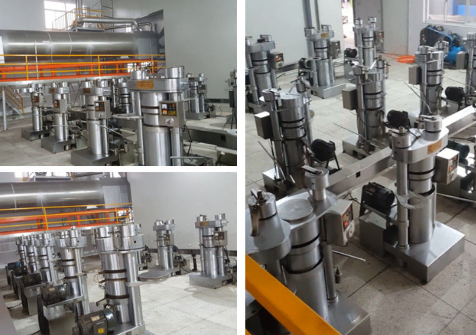 Machine comestible d'extraction d'huile d'extracteur d'huile de presse à froid durable pour le sésame / olive